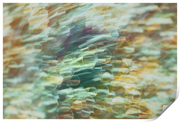Hypnotic Spectrum of Dynamic Blurs Print by Guido Parmiggiani
