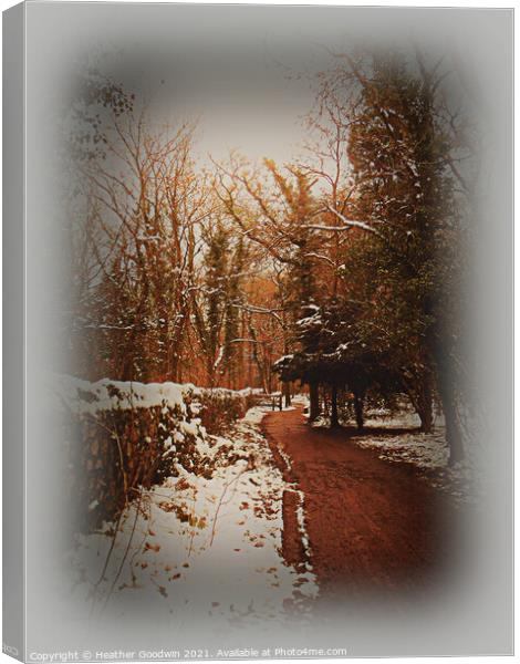 Winter's Chill Canvas Print by Heather Goodwin