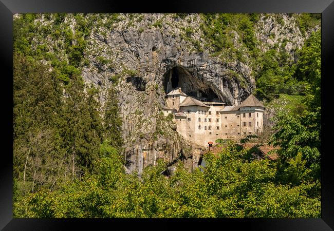 Predjama castle built into a cave in Slovenia Framed Print by Steve Heap