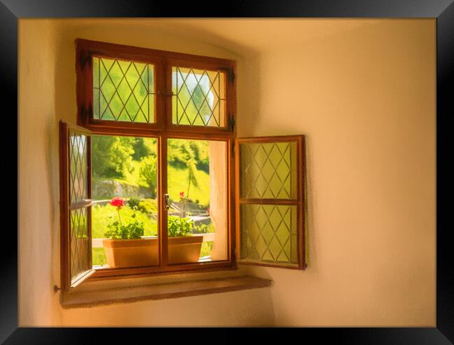 Window and seat in old castle in Slovenia Framed Print by Steve Heap