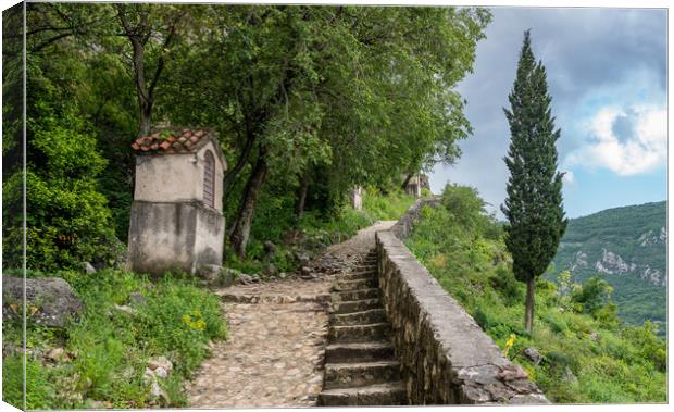 Step path to castle above Old Town of Kotor in Montenegro Canvas Print by Steve Heap