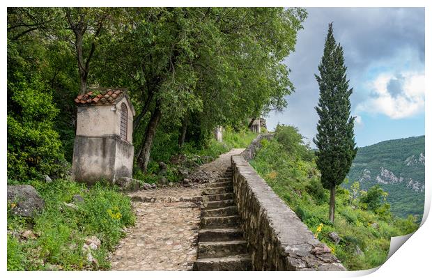 Step path to castle above Old Town of Kotor in Montenegro Print by Steve Heap