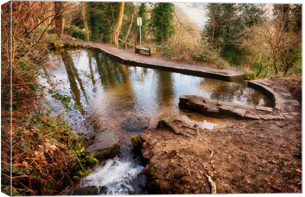 Baxters Pond Canvas Print by Trevor Camp