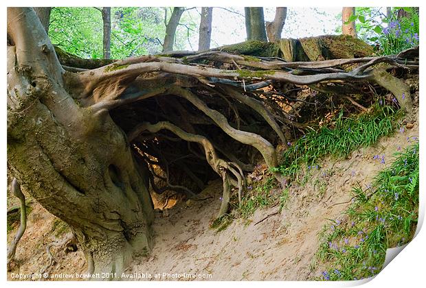 Roots Print by andrew bowkett