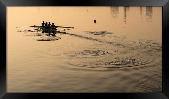Team of four rowers practice in racing canoe Framed Print by Steve Heap