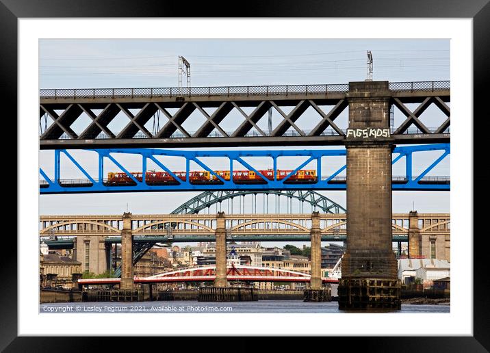 Bridges on River Tyne Framed Mounted Print by Lesley Pegrum