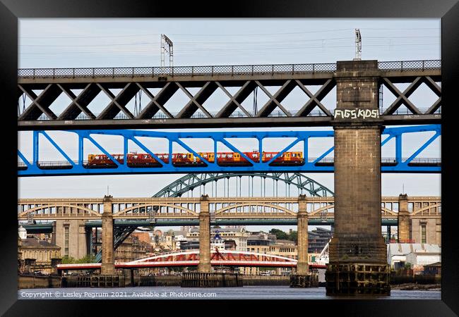 Bridges on River Tyne Framed Print by Lesley Pegrum