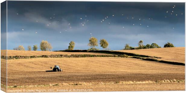 Tractor Working on the Land Canvas Print by Lesley Pegrum