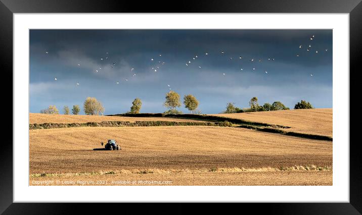 Tractor Working on the Land Framed Mounted Print by Lesley Pegrum