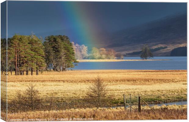 Rainbow on the Loch Canvas Print by Lesley Pegrum