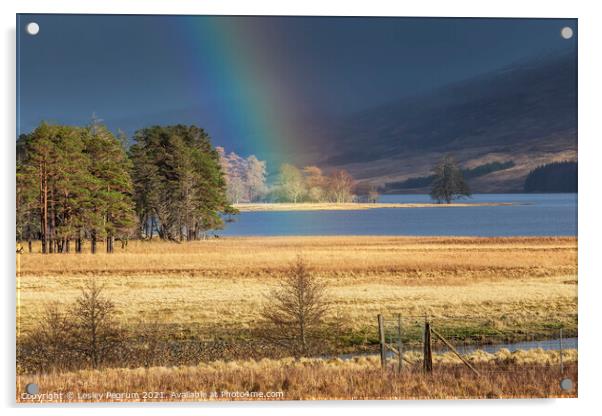 Rainbow on the Loch Acrylic by Lesley Pegrum