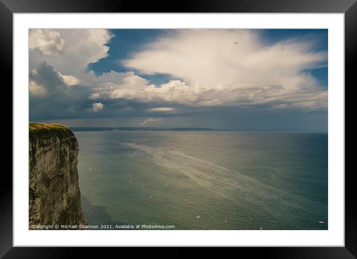 Seabirds at Bempton Cliffs on the North Yorkshire  Framed Mounted Print by Michael Shannon