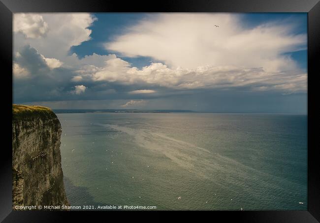 Seabirds at Bempton Cliffs on the North Yorkshire  Framed Print by Michael Shannon