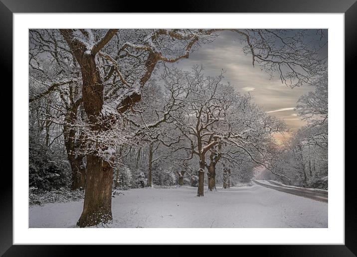 Winter Snow at Hartley Witney in Hampshire Framed Mounted Print by Dave Williams