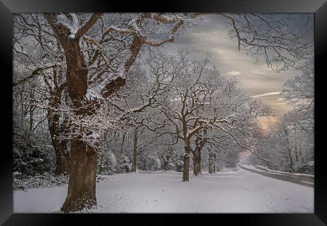 Winter Snow at Hartley Witney in Hampshire Framed Print by Dave Williams