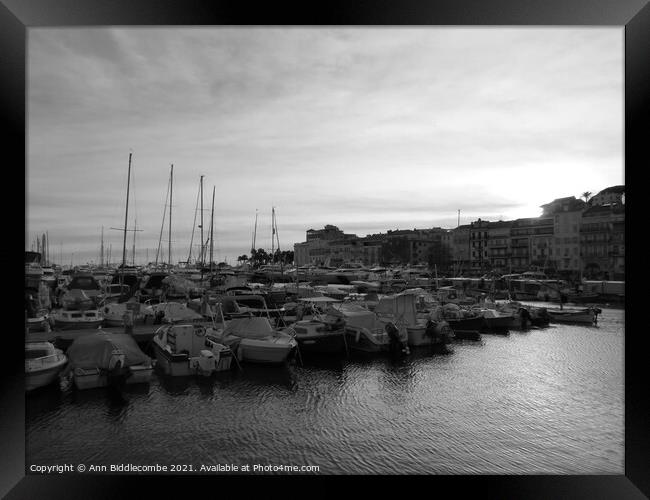 Monochrome Cannes marina at sunset Framed Print by Ann Biddlecombe