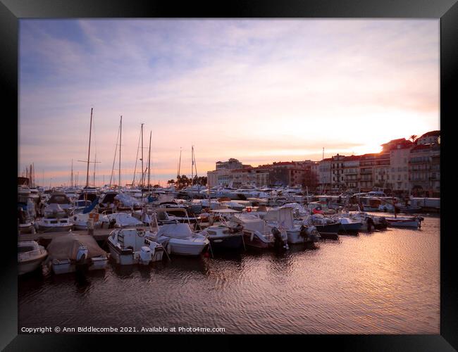  Cannes marina at sunset Framed Print by Ann Biddlecombe