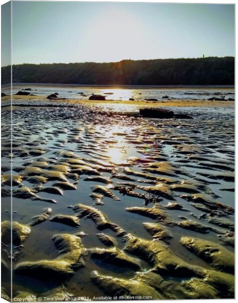 Rocky Beach ripples at Whitley Bay Canvas Print by Tina Veeranna