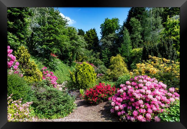 The Secret Quarry Garden Framed Print by Jim Monk