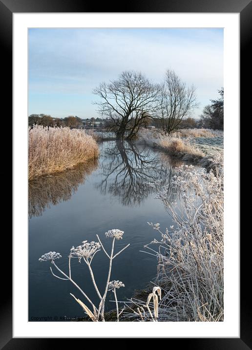 Frosted Cow Parsley Framed Mounted Print by Richard Burdon
