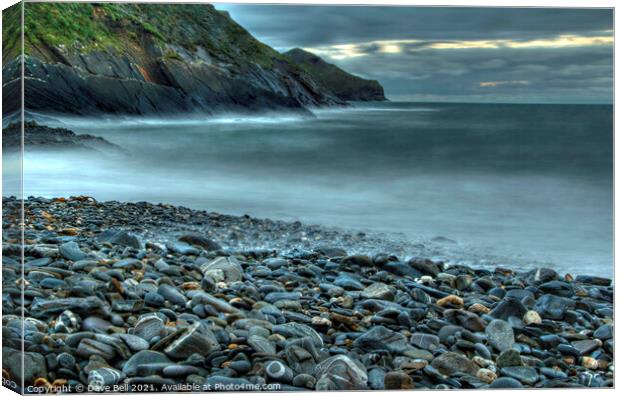 Grey Pebble Beach Canvas Print by Dave Bell