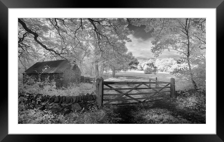 The closed gate. Framed Mounted Print by Bill Allsopp
