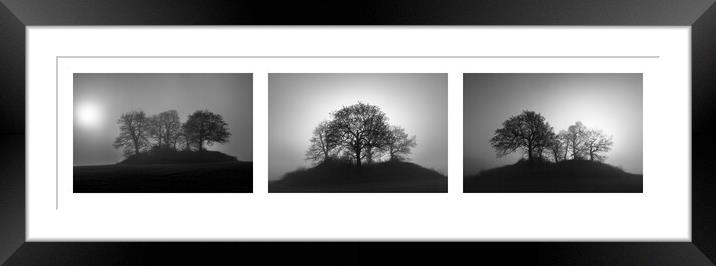 Round the copse triptych. Framed Mounted Print by Bill Allsopp