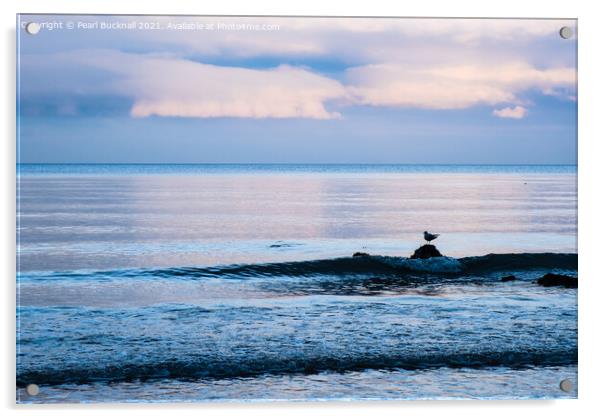 A Gull on a Rock on Welsh Coast Acrylic by Pearl Bucknall