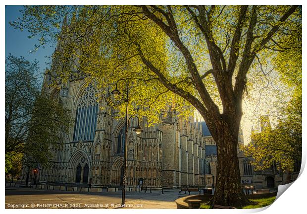 York Minster spring sunrise 181 Print by PHILIP CHALK
