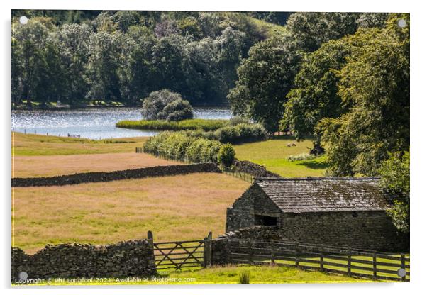 Farmland near Esthwaite Water Lake District Acrylic by Phil Longfoot