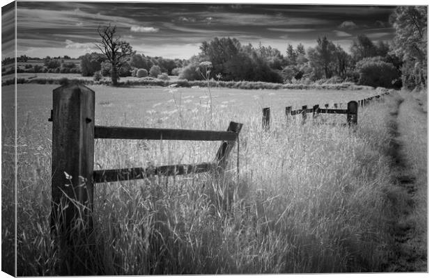The old fence. Canvas Print by Bill Allsopp
