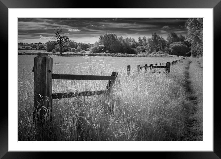 The old fence. Framed Mounted Print by Bill Allsopp