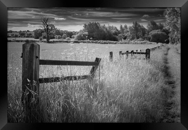 The old fence. Framed Print by Bill Allsopp