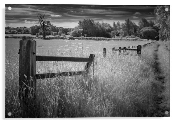 The old fence. Acrylic by Bill Allsopp