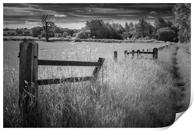 The old fence. Print by Bill Allsopp