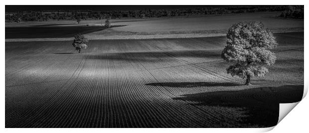 Field guardians. Print by Bill Allsopp