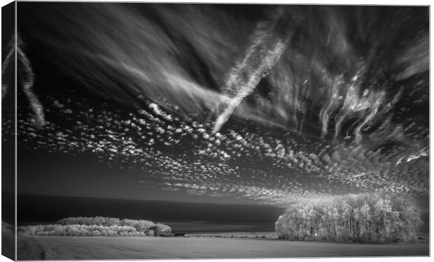 Corn, copse, clouds #2. Canvas Print by Bill Allsopp