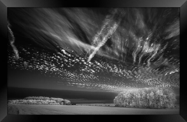 Corn, copse, clouds #2. Framed Print by Bill Allsopp