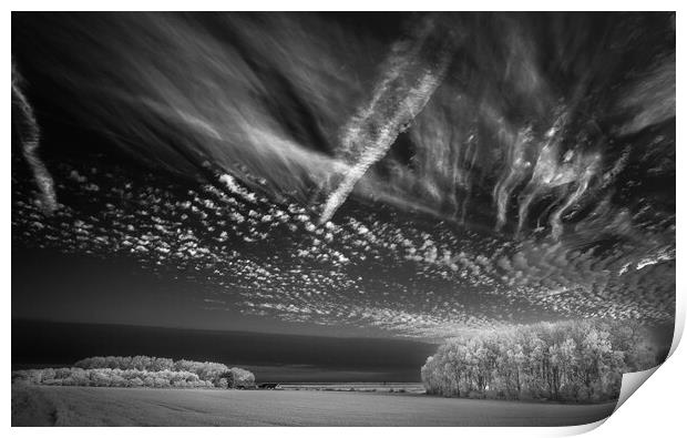 Corn, copse, clouds #2. Print by Bill Allsopp