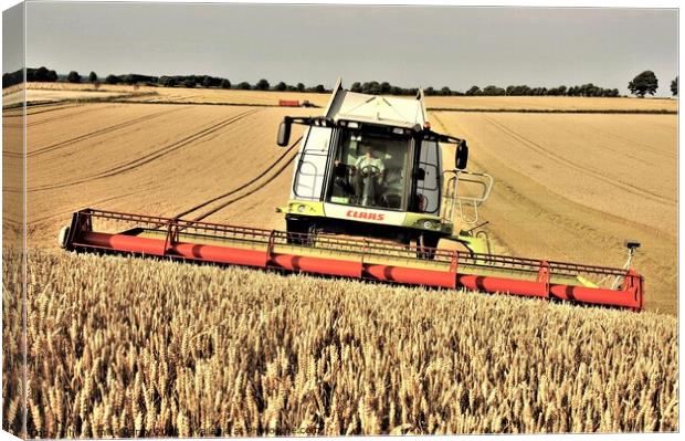 Harvesting wheat in Northumberland. Canvas Print by mick vardy