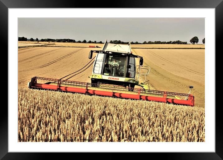 Harvesting wheat in Northumberland. Framed Mounted Print by mick vardy