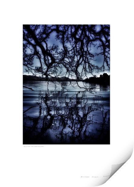 Chilly Trees (Loch Lomond [Scotland]) Print by Michael Angus