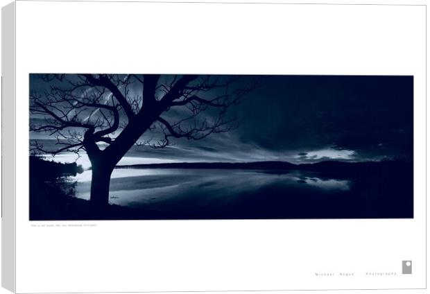 Tree in the Sunset (Helensburgh) Canvas Print by Michael Angus