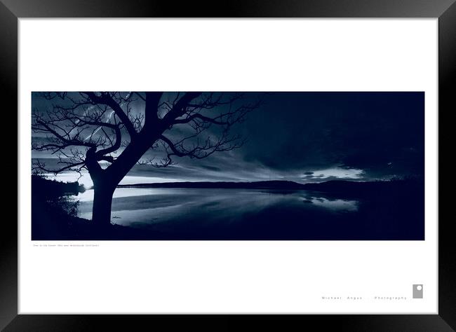 Tree in the Sunset (Helensburgh) Framed Print by Michael Angus