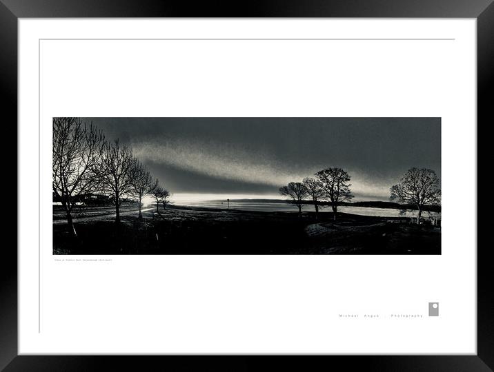 Trees at Kidston Park (Helensburgh) Framed Mounted Print by Michael Angus