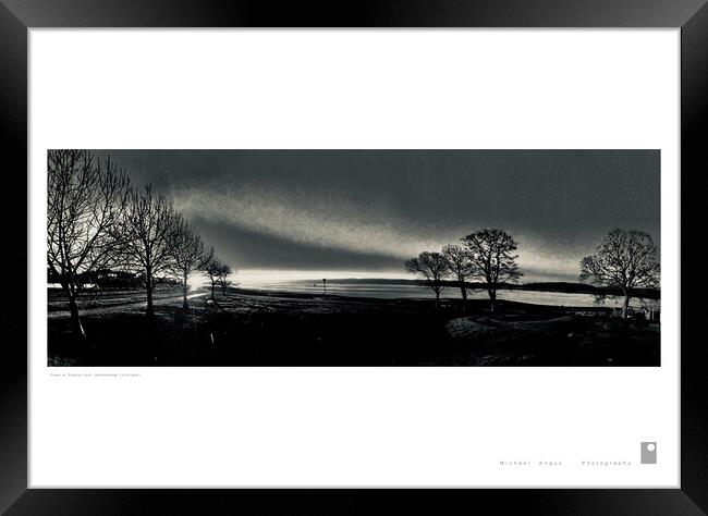 Trees at Kidston Park (Helensburgh) Framed Print by Michael Angus