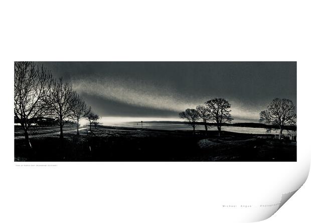 Trees at Kidston Park (Helensburgh) Print by Michael Angus