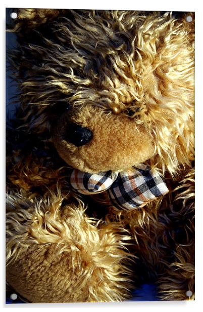 Teddy bear Acrylic by Doug McRae