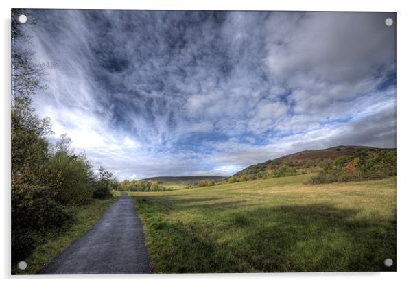 Dare Country Park Acrylic by Steve Purnell