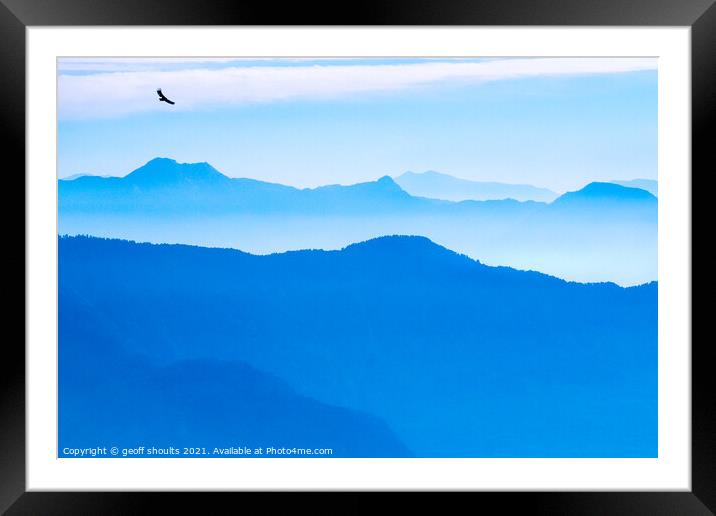 Blue dawn with Eagle Framed Mounted Print by geoff shoults